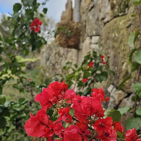Maragoça Al Tatil Evi Portela (Porto)