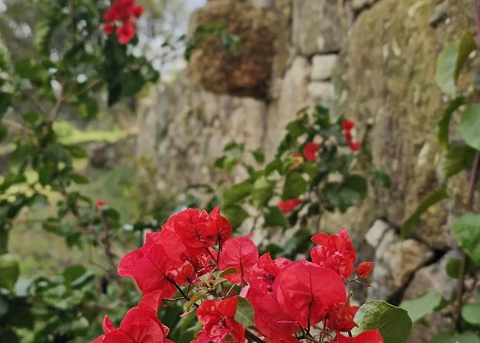 Maragoca Retreat Дом отдыха Portela (Porto)